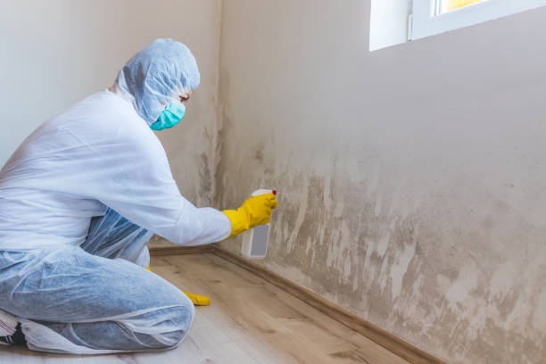 Bathroom Mold Removal assessment in Lillington bathroom